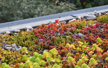 the cost of Little Ashley green roof installation