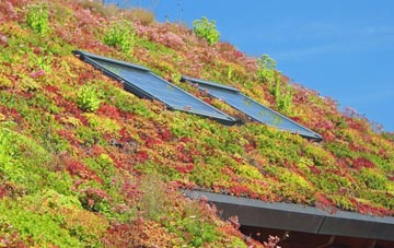 Little Ashley living roof systems